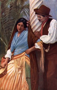 Spagnolo (foto a colori)