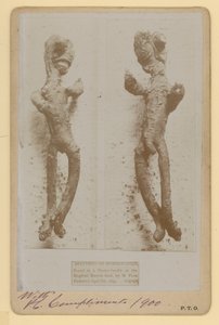 Specimen di rafano da English Photographer