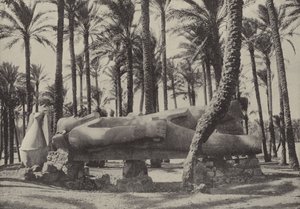 Statua di Ramesse II, giacente nella città che Geremia disse sarebbe stata senza abitanti da English Photographer