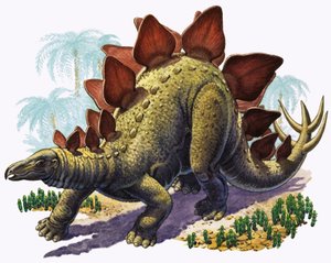 Stegosauro (gouache su carta)