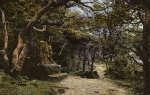 Panchina di Pietra, la Frana