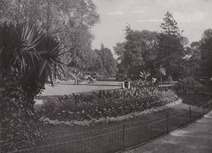Giardini Sub-Tropicali, Parco di Battersea da English Photographer