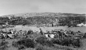 Baia di Suvla, Gallipoli a Chocolate Hill, c.1915 da English Photographer