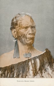 Capo Maori Tangata (foto) da English Photographer