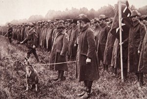La revisione degli Anzac a Salisbury Plain: una mascotte australiana da English Photographer