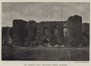 La Sala del Banchetto, Castello di Beaumaris, Anglesey da English Photographer
