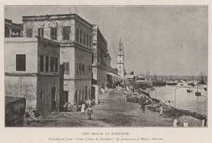 La spiaggia di Zanzibar da English Photographer