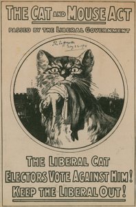 Il Cat and Mouse Act da English Photographer