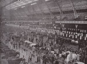 Mostra del bestiame, Royal Agricultural Hall da English Photographer