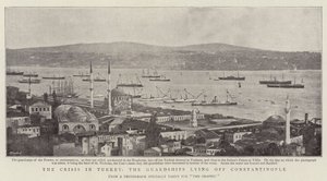 La crisi in Turchia, le navi da guardia al largo di Costantinopoli da English Photographer
