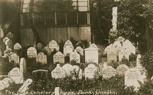 Il cimitero dei cani, Hyde Park, Londra da English Photographer