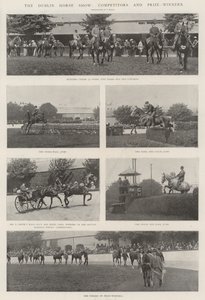 La fiera del cavallo di Dublino, concorrenti e vincitori