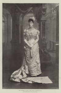 La duchessa di York alla sala delle udienze della regina da English Photographer