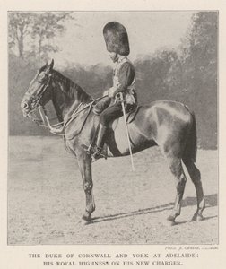 Il Duca di Cornovaglia e York ad Adelaide, Sua Altezza Reale sul suo nuovo cavallo da English Photographer
