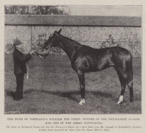 Il William the Third del Duca di Portland, vincitore delle Newmarket Stakes e uno dei favoriti del Derby