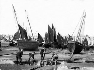La flotta di pesca nel porto di St Ives, c.1880-99 da English Photographer