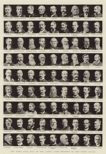 Il Disegno di Legge sull