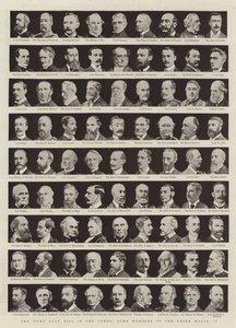 Il disegno di legge sull