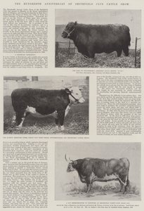 Il centenario della mostra di bestiame del Smithfield Club da English Photographer