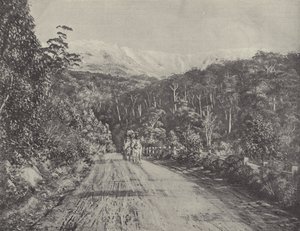 La strada di Huon da English Photographer