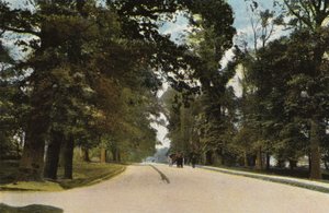 Il lungo viale, Coventry da English Photographer