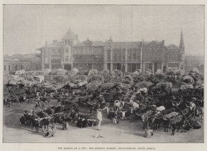 La Creazione di una Città, il Mercato del Mattino, Johannesburg, Sudafrica