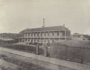 La zecca, Sydney