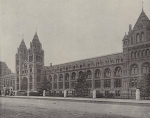 Il Museo di Storia Naturale (foto b/n)