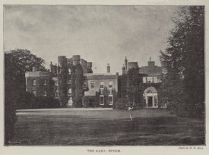 Le querce, Epsom da English Photographer