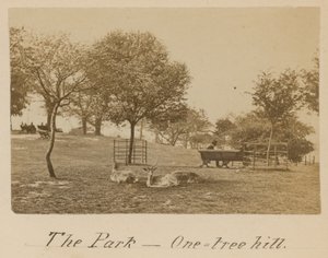 Il Parco - One Tree Hill, Greenwich da English Photographer