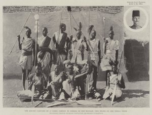 Il recente saccheggio di un convoglio di cammelli da parte dei Dinka nel Sudan, i capi della tribù Dinka