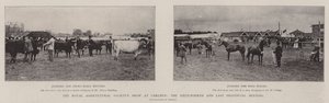La mostra della Royal Agricultural Society a Carlisle, il sessantaquattresimo e ultimo incontro provinciale