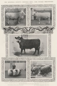 Lo spettacolo di Natale della Società di Smithfield, alcuni vincitori notevoli da English Photographer