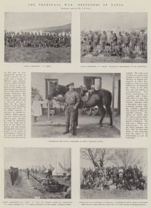 La Guerra del Transvaal, Difensori di Natal