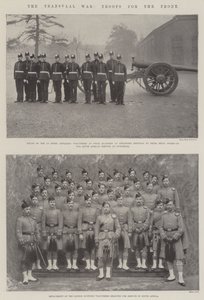 La guerra del Transvaal, truppe per il fronte
