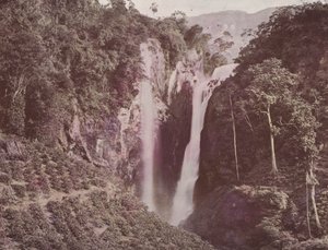 Le Cascate Gemelle (Coltivazione del Caffè in Primo Piano), Ceylon da English Photographer