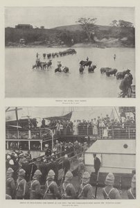 La guerra nel Transvaal