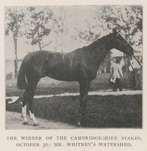 Il vincitore delle Cambridgeshire Stakes, 30 ottobre, Watershed di Mr Whitney