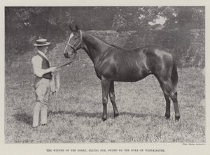 Il vincitore del Derby, Flying Fox, di proprietà del Duca di Westminster