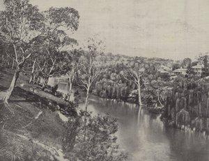 Il Fiume Yarra a Studley Park