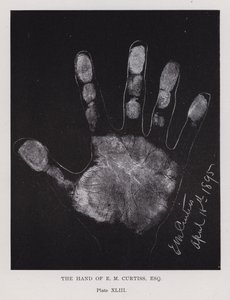 La mano di E M Curtiss da English Photographer