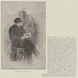 Il defunto Sig. P H Gosse, FRS