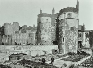 Torre di Londra, Tower Hill: le torri di Beauchamp e Byward, 1895 da English Photographer