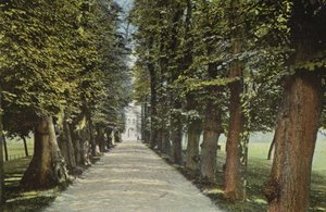 Trinity College, il Viale da English Photographer