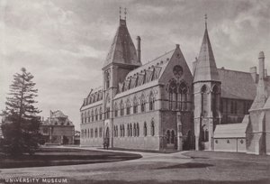 Museo Universitario