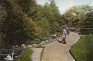 Vista nel Parco di Ventnor da English Photographer