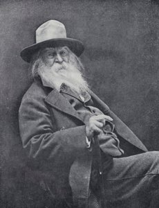 Walt Whitman da English Photographer