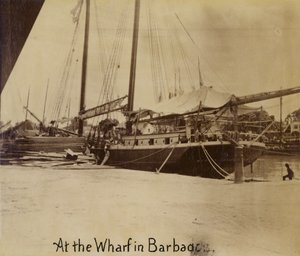 Molo, Bridgetown, Barbados da English Photographer
