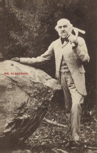 William Ewart Gladstone da English Photographer