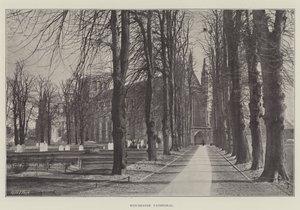 Cattedrale di Winchester da English Photographer